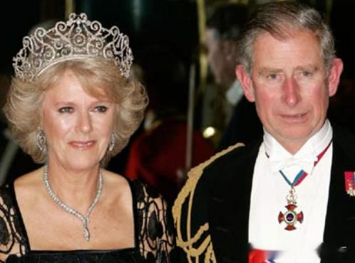 威廉王子对卡米拉的态度微妙，威廉不会原谅卡米拉