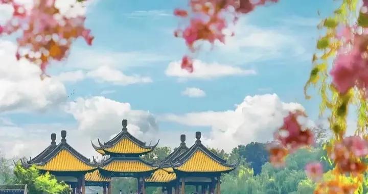 茶楼酒肆遍地开花，连顺德都服气的烧菜，在这里吃一次就忘不掉