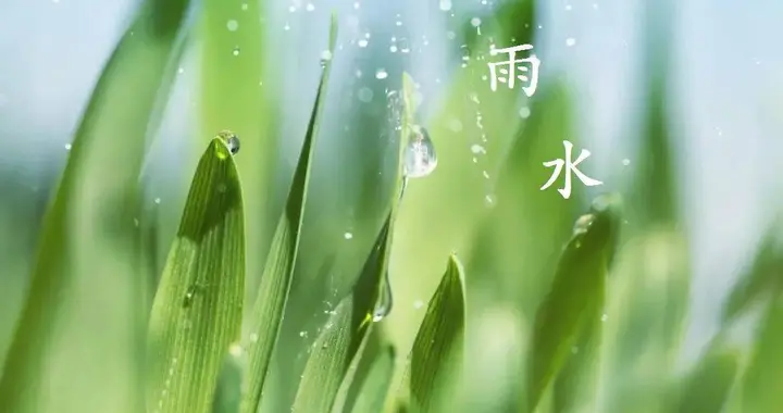 上日几逢兼雨水——咏雨水古诗词赏析（三）