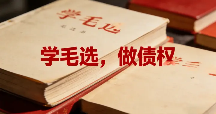 以《毛选》思维破局不良资产处置核心矛盾