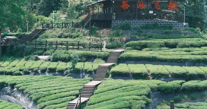 多次被央妈点赞：有贡茶、吊脚楼、绝壁峡谷，大部分地方还不要钱