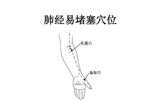 十二经络易堵穴位汇总，建议收藏转发！