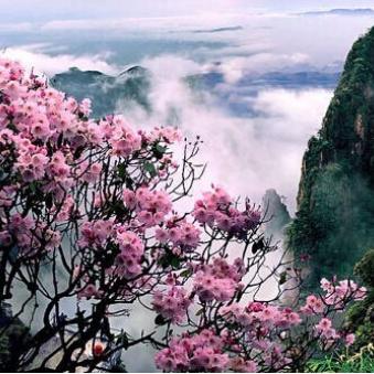 清巷布衣嘎孑：周末重磅消息，下周走势前瞻