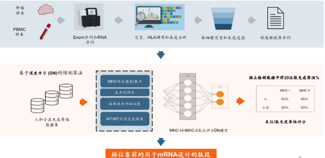 该重新打量mRNA资产了