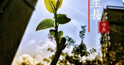 人活得越长越好吗？研究发现，活到65岁至70岁的人最幸福了