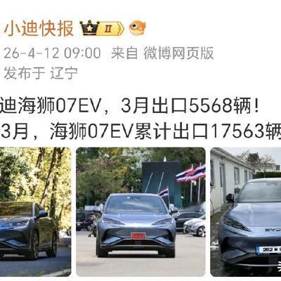 龙卷风：海狮07出口势头也有下滑。 应该