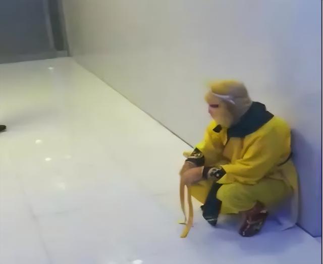 “悟空”酒驾！八戒被通报！唐僧黑名单！西天团队只剩沙僧白龙马