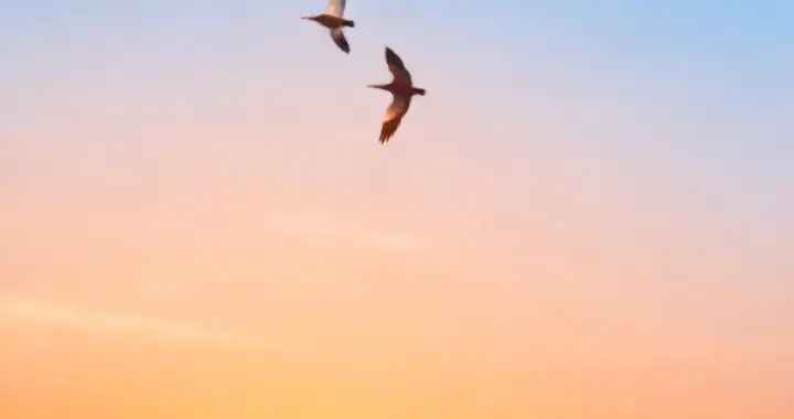 AI的确很聪明，但孩子有AI永远也学不会的六种能力！