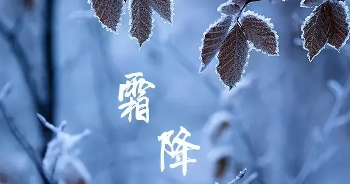 霜降将至，这菜要使劲吃！一润燥、二化痰、三护眼强免疫，别不懂