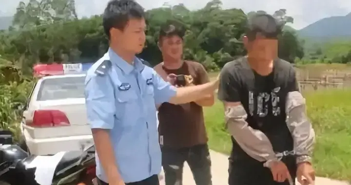 曲某猎捕麻雀斑鸠案，贪欲之下的生态悲歌