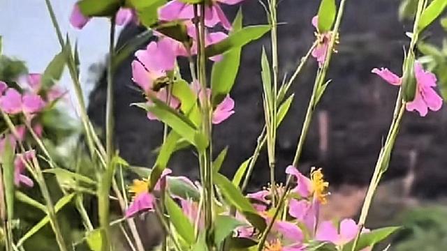 顺道：今天凌晨1点，我同事休息回来，我去