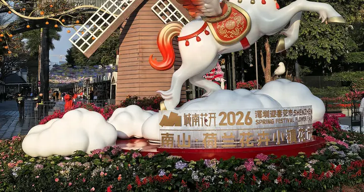 城南花开·新春花市