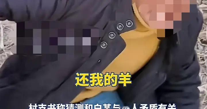 一夜损失40万！怀孕母羊全军覆没，凶手假惺惺帮忙：哪个天杀的