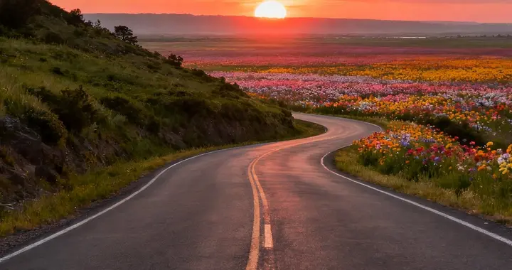 路不通时转弯，心不悦时看淡：成年人最通透的活法