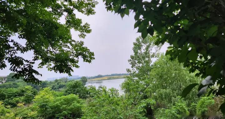 江苏天气很离谱！接下来34℃高温+局部降雨+狂风三连击