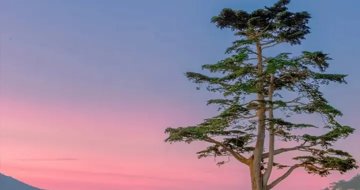 连续下跌10年的“中字头”：有的横盘8年，有的已跌85%！