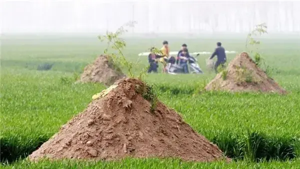 农村土葬时，棺材埋在地下，为什么还要堆小土堆？有何说法？