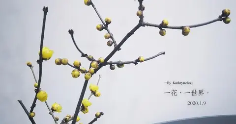 真正厉害的人，不是比别人更用力，而是更懂得换一种思维