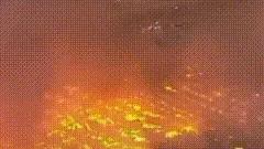 谷间寻溪流的行者：1.56亿灰飞烟灭后