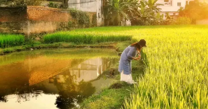 《田园烟火，藏着最踏实的幸福》