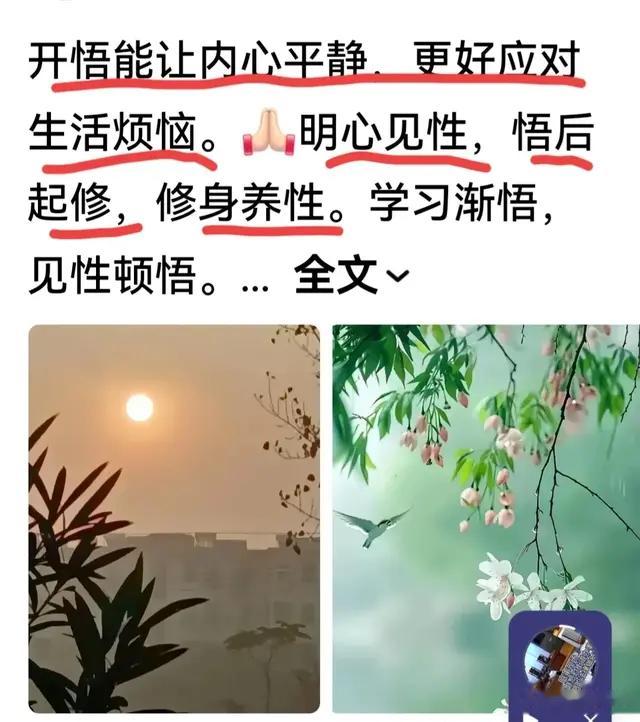 为何“开悟能让人内心平静”？