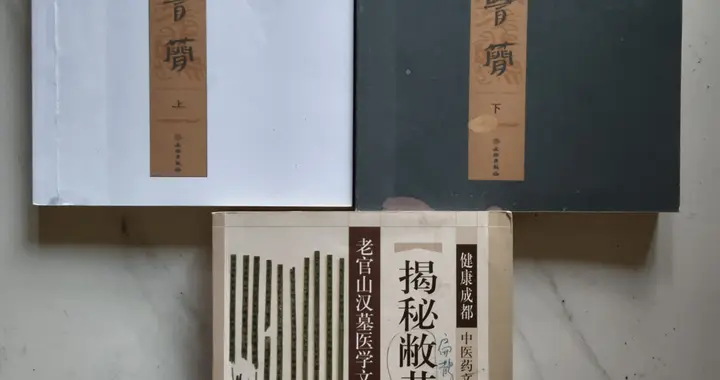 中医五经分论：《素》《灵》《难》《本草》《伤寒杂病论》源流考