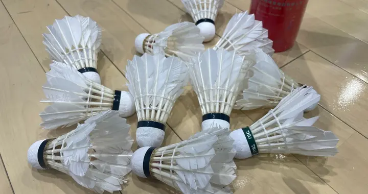 羽毛球的拧巴：月薪两万打不起羽毛球，粉丝7.44亿赛事十年没冠名