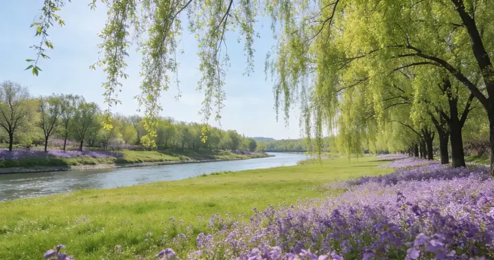 德州杨庄河：人多到爆满，家门口的春光太抢手