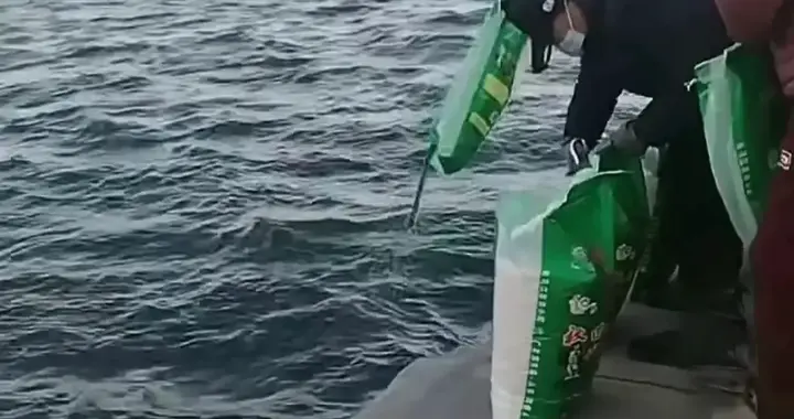 后续：辽宁老人将成袋大米倒海里放生，行为太荒唐，引网友热议