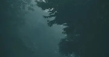 人到中年，最好的活法：不纠、不争、不盼
