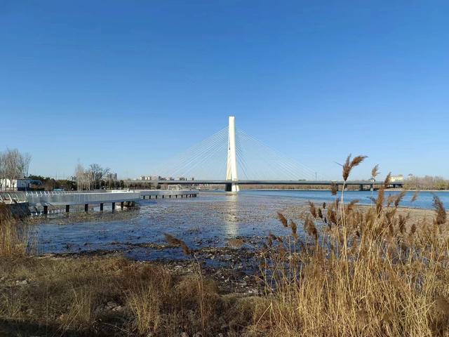 写作笔记：职业化写作