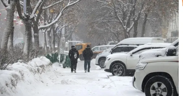 当心！这次寒潮是“刺客”：冻雨才是真正的“冰钉子”