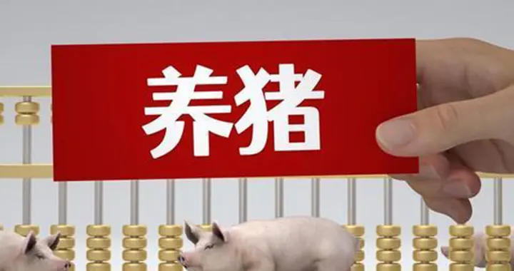 猪价“逆袭”背后：从3.8元到5.4元的涨幅，是拐点还是假象?
