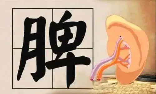 脾胃好百病消！5个老祖宗传下的养胃秘方，家家都用得起