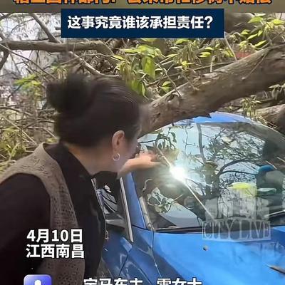 王长柱：江西南昌，女子把车停在路边，大树