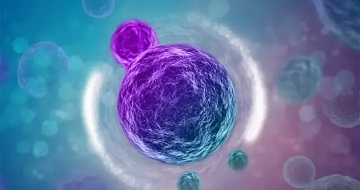 干细胞治疗帕金森病基础和临床