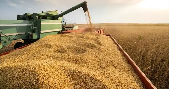 美111亿对台军售刚落地，中方同步取消13万吨订单，信号不简单