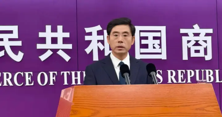 局势已恶化，三国强抢中企资本，海外中企遭遇“合法抢劫”三件套