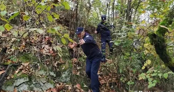 护林员猎杀15只保护动物，缓刑赔2万！网友：罚得轻？