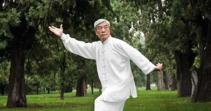 太极拳高级高法，“以脊运梢”，有时间研究一下