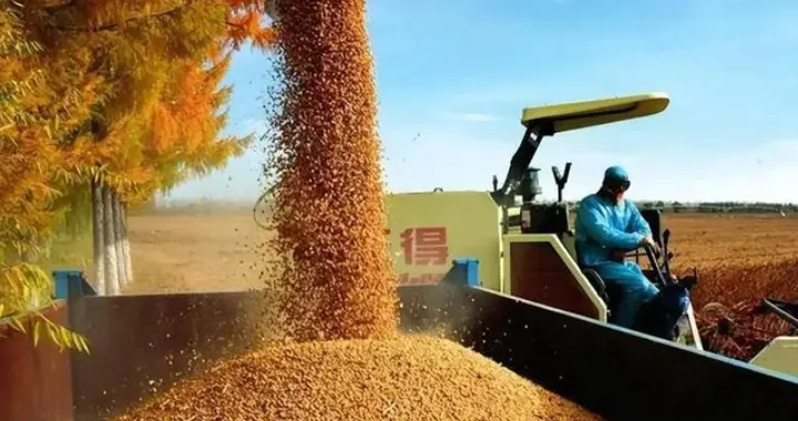 中国花二十年时间给美国挖巨坑！中美大豆战：当年小白变成操盘手