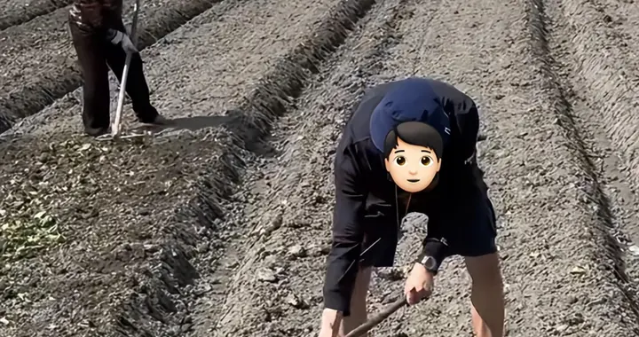 情绪文旅成万亿风口，花3000坐飞机挖土豆，年轻人花钱买松弛