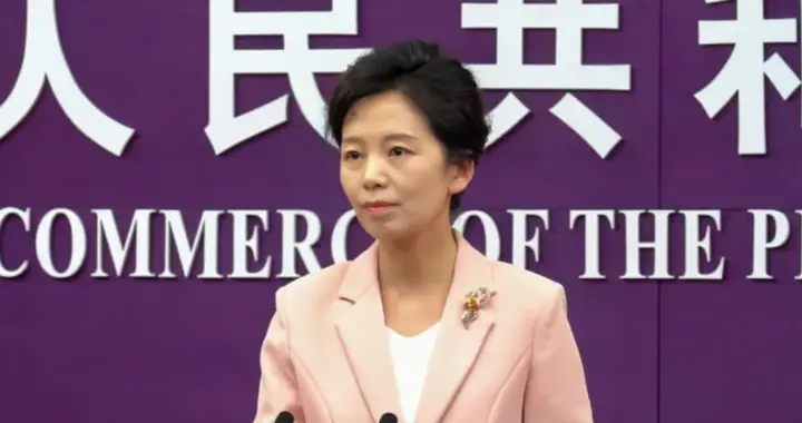 终于破案，中方追回96吨稀金，要跟美国算总账，13万吨订单被消除