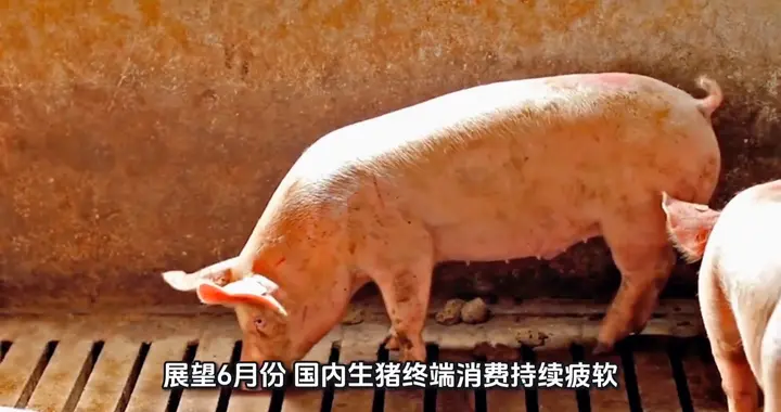 我发布了一条视频，快来看看吧～