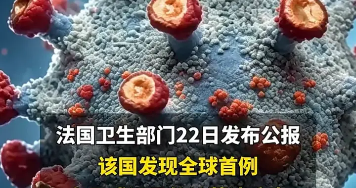 全球首例沙蒙达病毒致死？我查完资料普通人真正该担心的不是这个