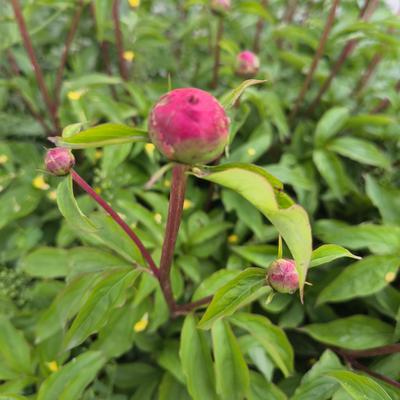 娟姐说：,自己靠的是什么