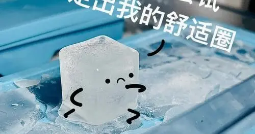 他尝试摆脱匈奴控制，没成想却惹来刘秀的主力军团