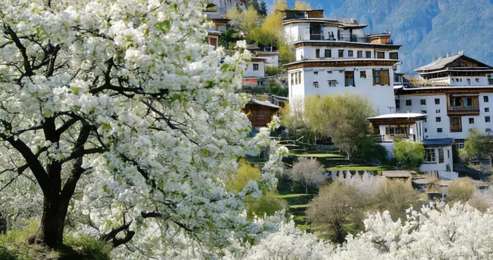 直到3月来了川西这里！雪山下的万亩梨花，堪称人间绝色