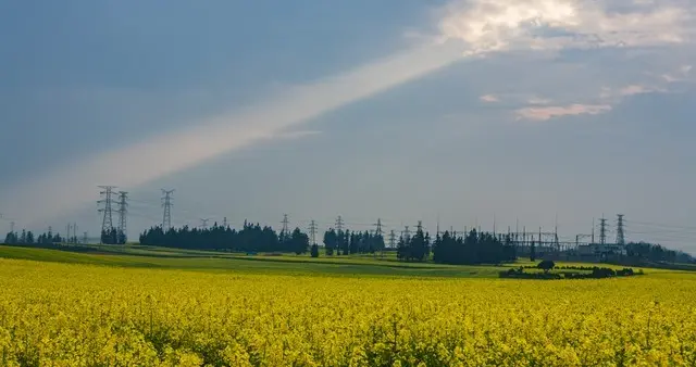 春风作序，岁月为章，写下时光惊艳，唯美新的流年