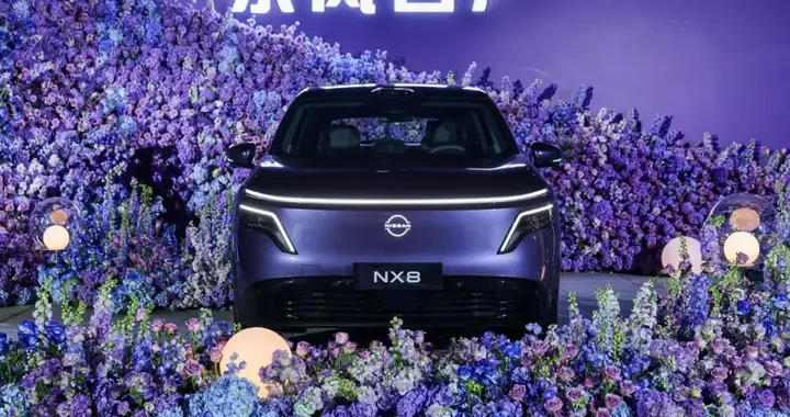 15万级家用SUV最稳答案——东风日产NX8